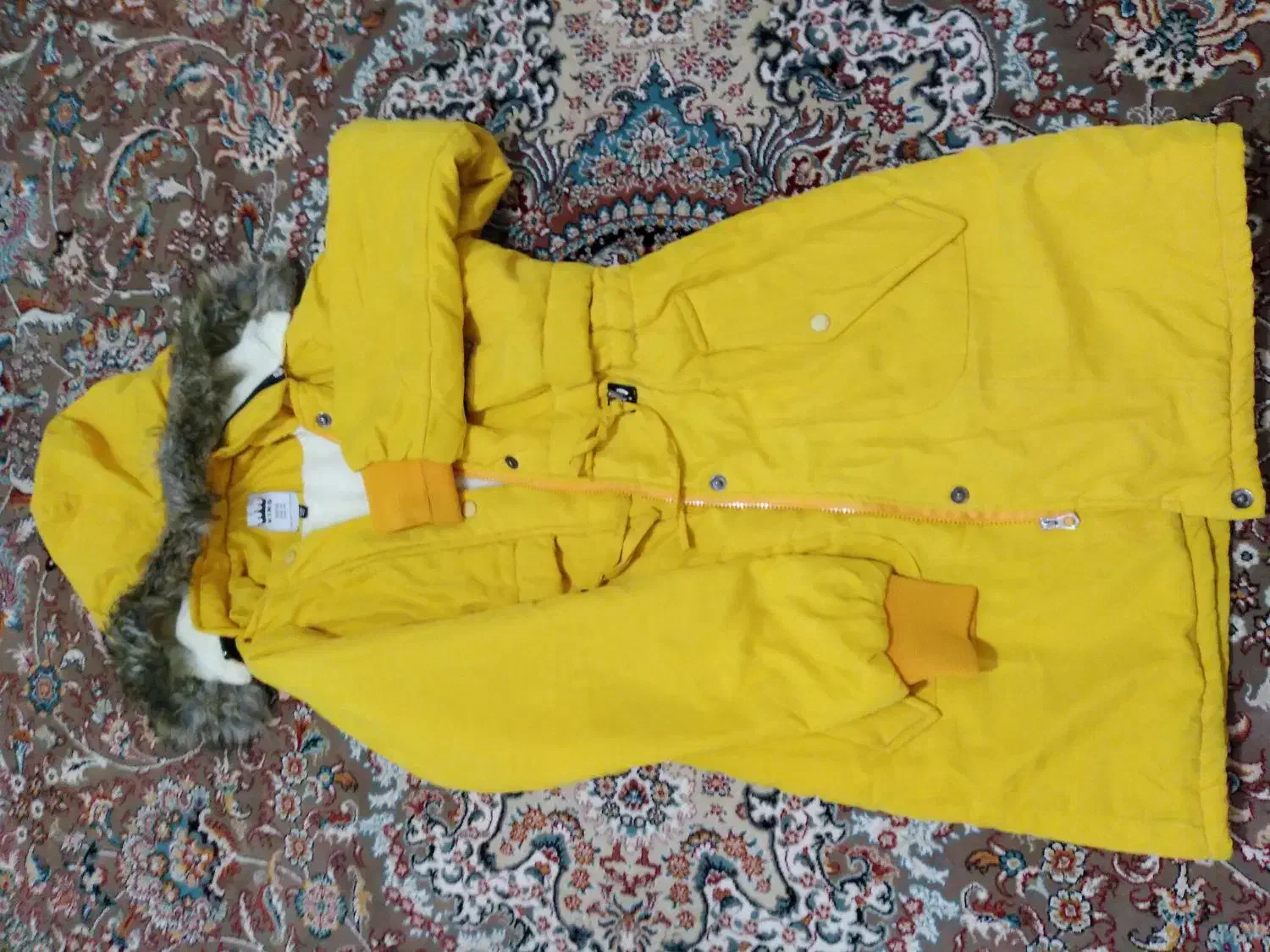 کاپشن دخترانه|لباس|مشکیندشت, |دیوار