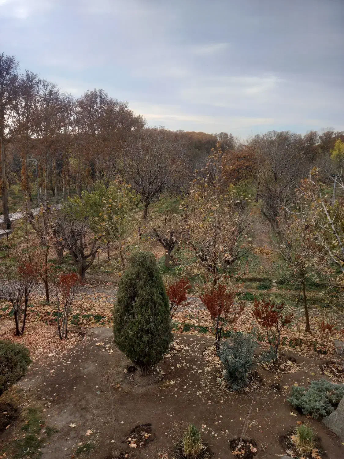 ۲۰۷ متری+ ۲ پارکینگ + ۳۵ متر بالکن + اتحاد  لوتوس|فروش آپارتمان|کرج, اتحاد|دیوار