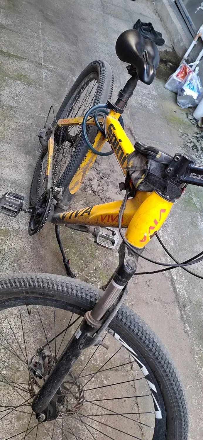 دوچرخه viva|دوچرخه، اسکیت، اسکوتر|فومن, |دیوار