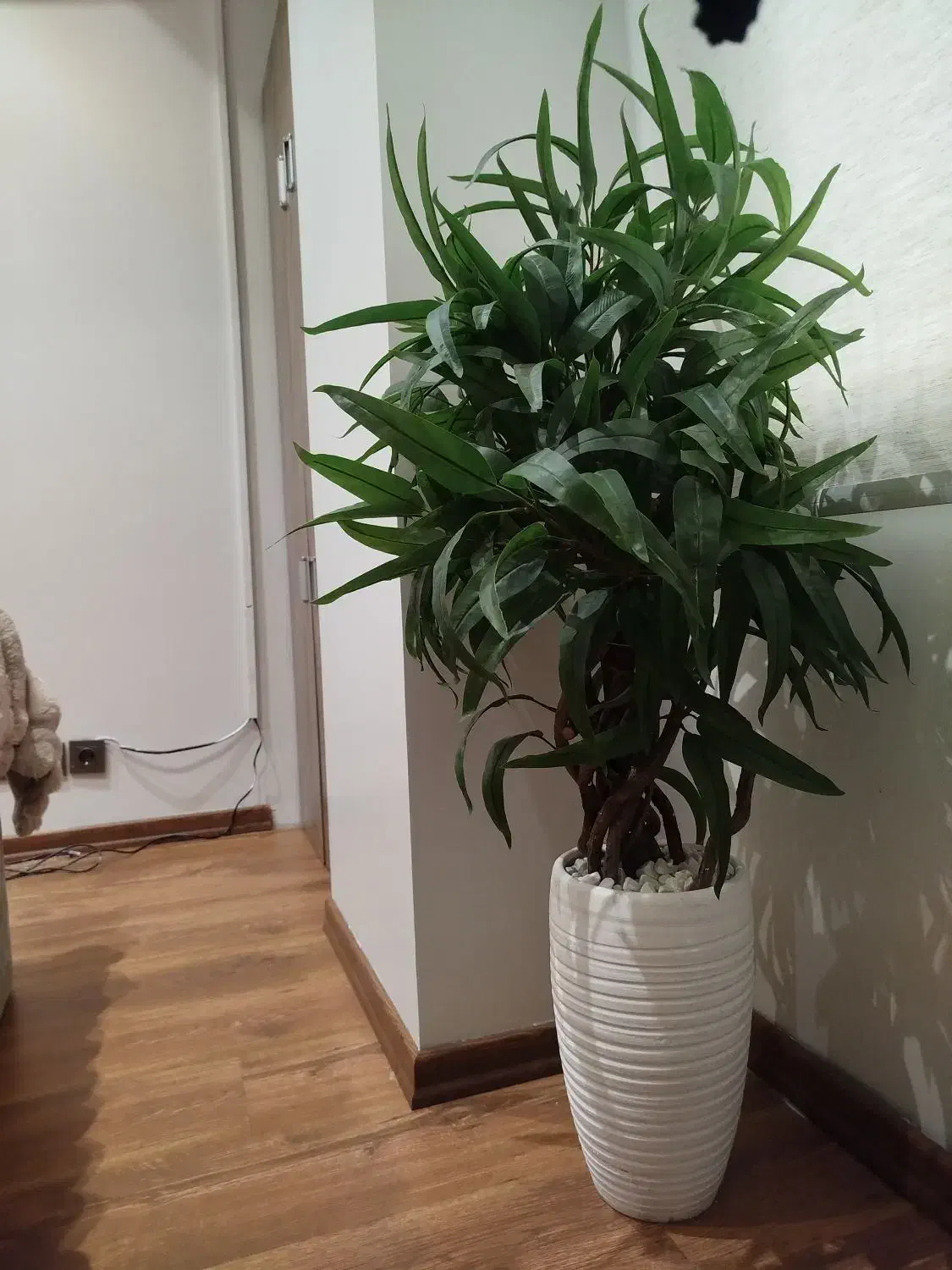 گل مصنوعی، دیزاین فلاور باکس ، گرین وال|گل مصنوعی|تهران, میدان ولیعصر|دیوار