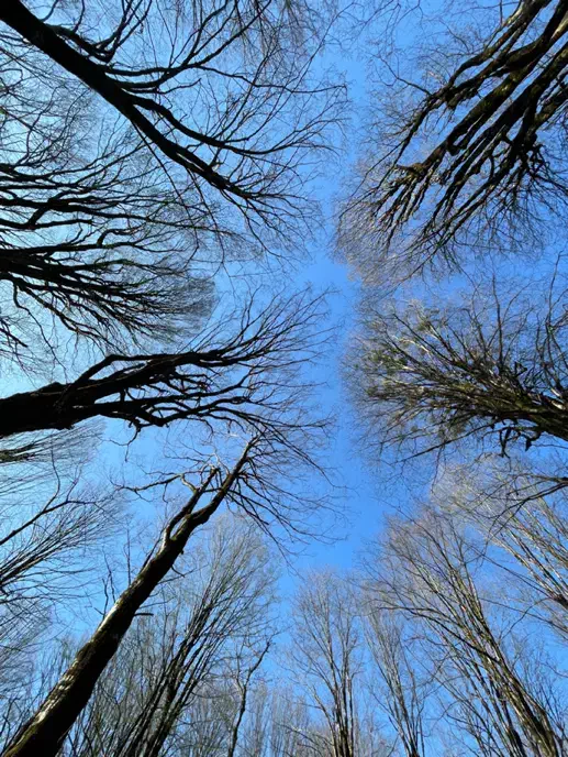 کوه نوردی|کوهنوردی و کمپینگ|رشت, معلم|دیوار