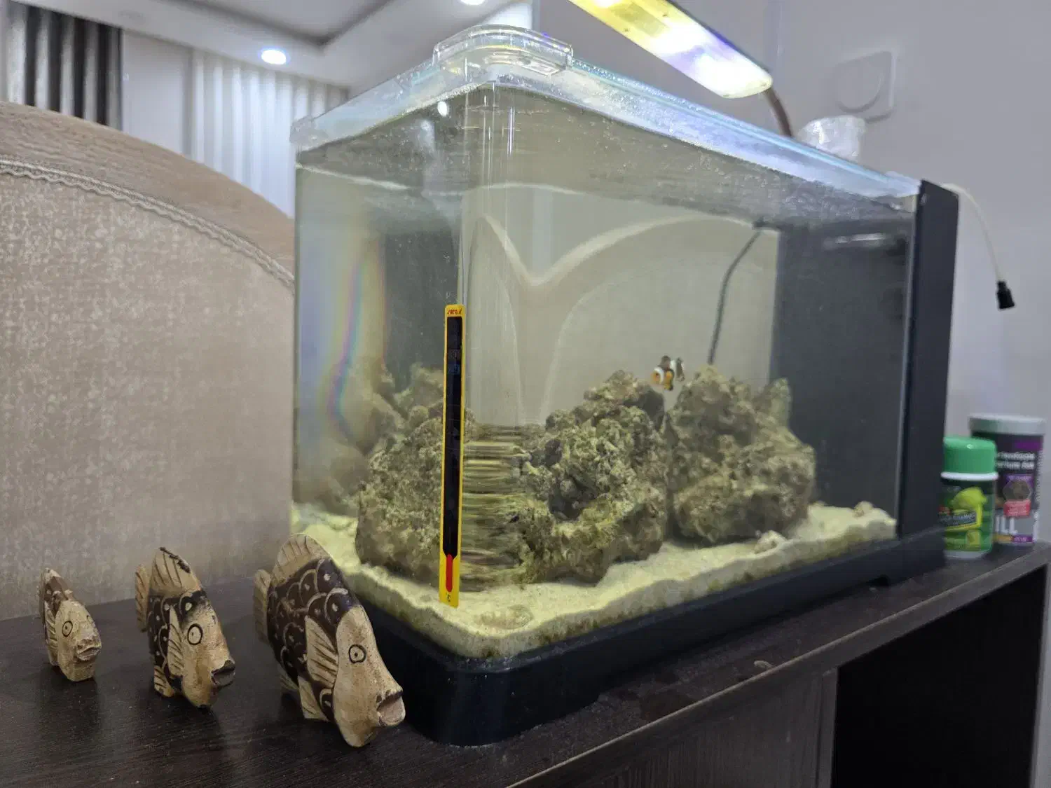 آکواریوم آب شور|ماهی|چمران, |دیوار