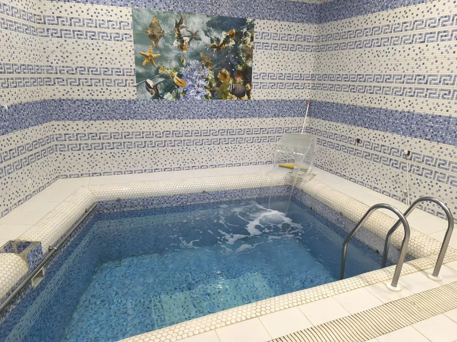 سوئیت استخردار اجاره ویلا استخر دار آبگرم|اجارهٔ کوتاه‌مدت ویلا و باغ|نیشابور, فضل|دیوار