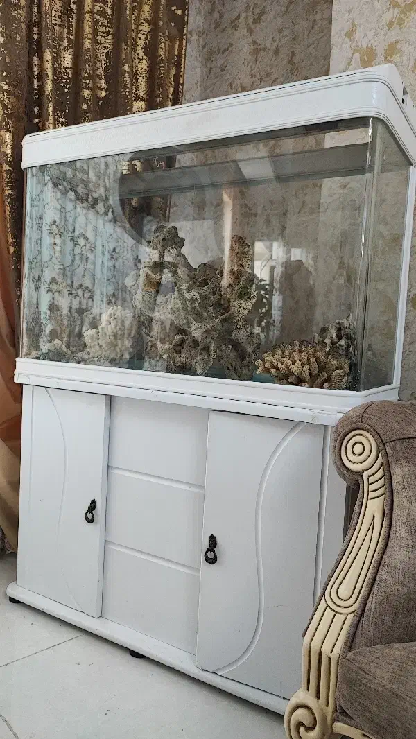 آکواریوم شرکتی شیشه خم ماهیران|لوازم جانبی حیوانات|همدان, |دیوار