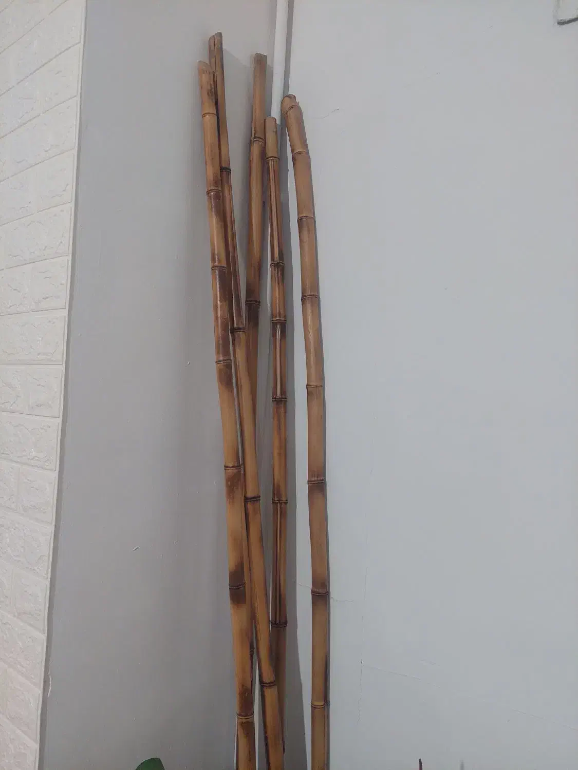 چوب بامبو نی بامبو|گل و گیاه طبیعی|اراک, |دیوار