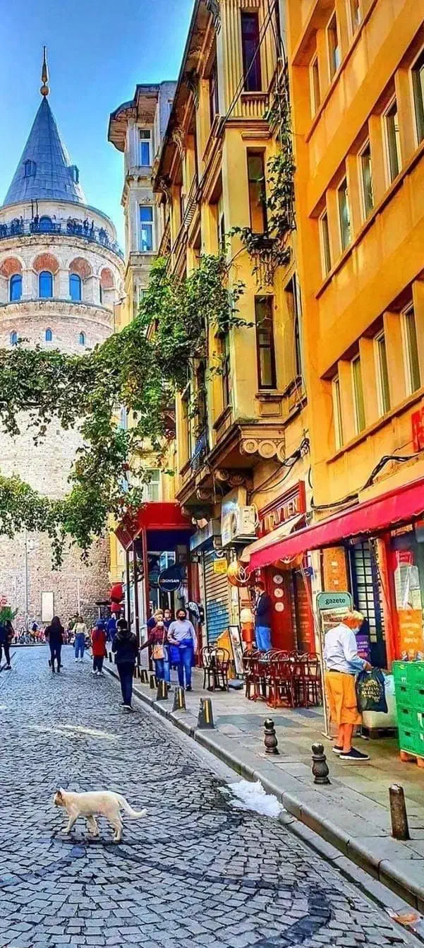 تور گروهی خفن /شاد/ ویژه کریسمس ترکیه|تور و چارتر|قدس, شهر‌قدس|دیوار