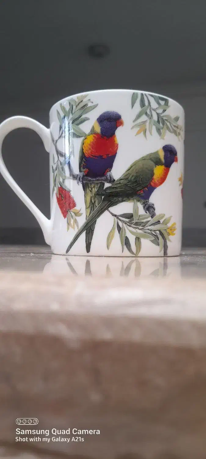 ماگ birdsong|ظروف سرو و پذیرایی|اشکذر, |دیوار