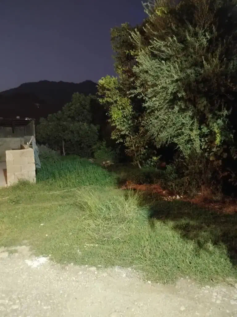 فروش آپارتمان ۵۵۰ متری ۲ خوابه طبقه ۱|فروش آپارتمان|باغ ملک, |دیوار