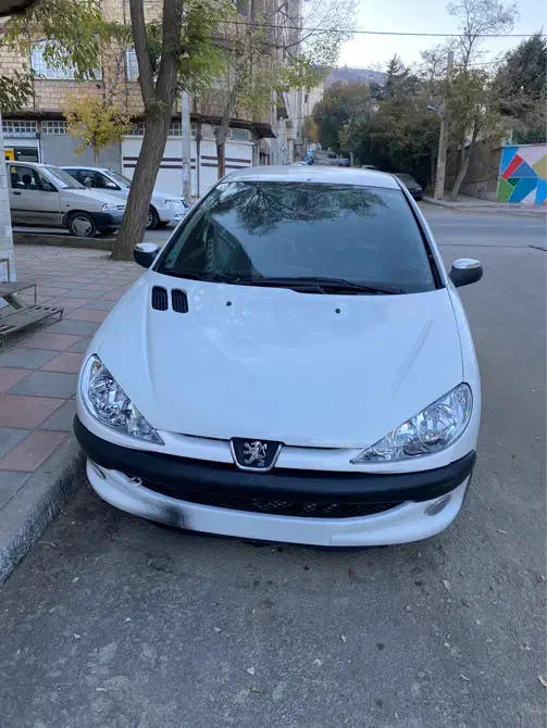 ۲۰۶ مدل ۸۰|خودرو سواری و وانت|سنندج, |دیوار