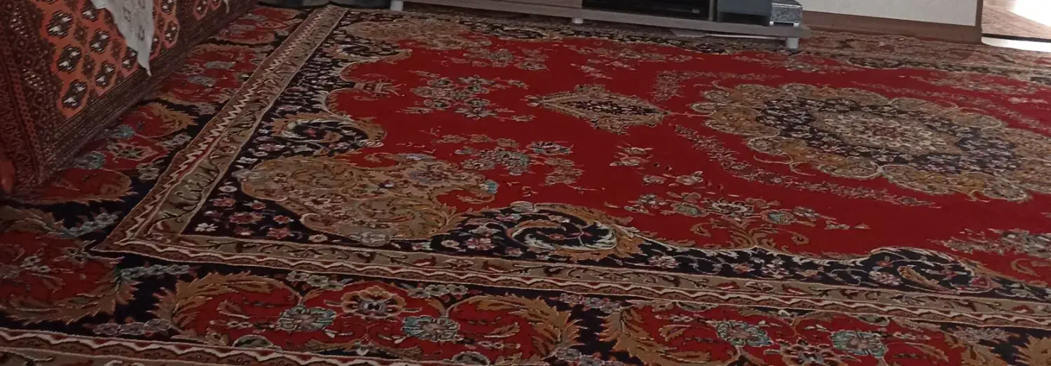 فرش دوازده متری گنجینه|فرش|محمدیه-قزوین, |دیوار