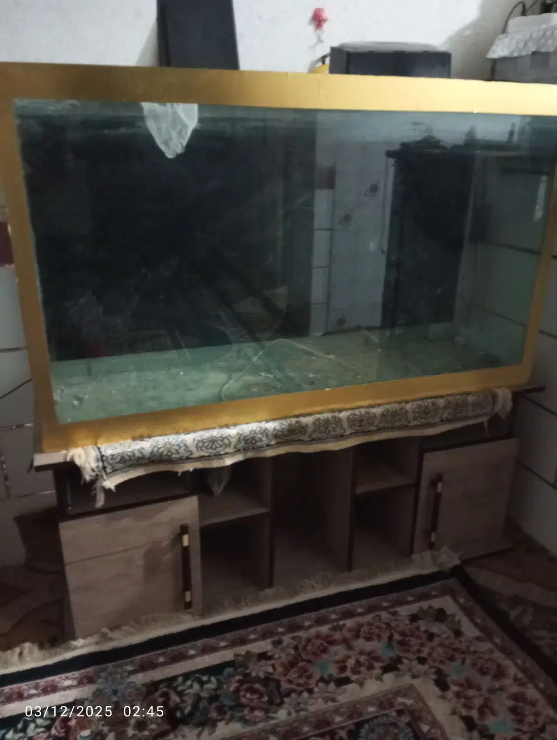 اکواریوم بزرگ|ماهی|شیراز, شیخ علی چوپان|دیوار