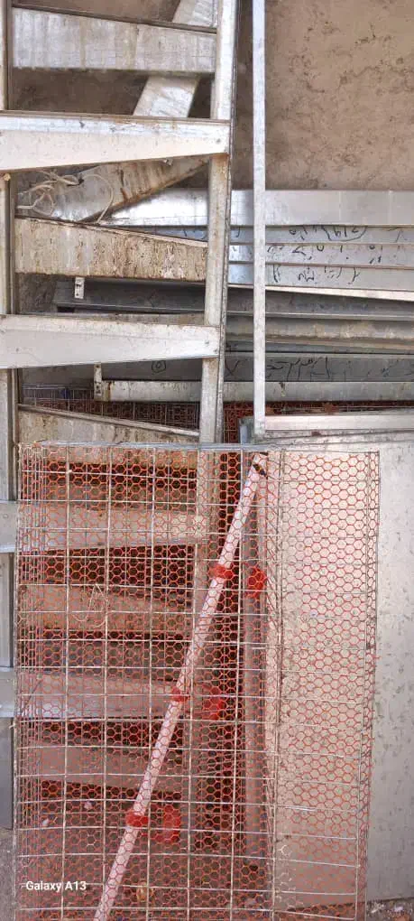 قفس پنج طبقه گالوانیزه|لوازم جانبی حیوانات|سلماس, |دیوار