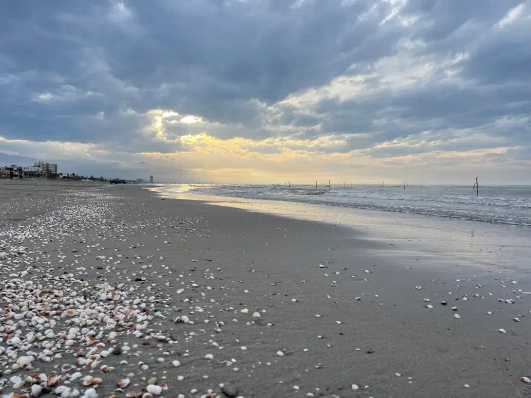 مشارکت ساخت|مشارکت در ساخت املاک|ایزدشهر, |دیوار