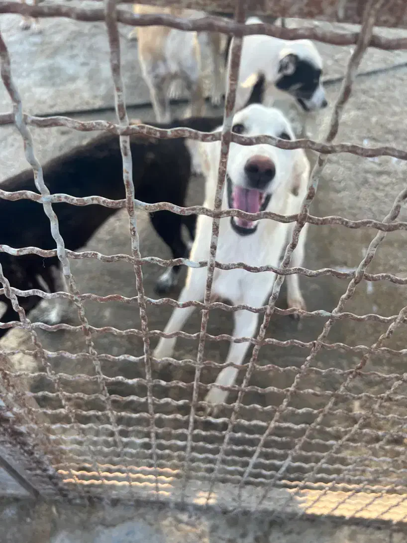 استخدام کارگر ۲۴ ساعته|استخدام سرایداری و نظافت|بندر ماهشهر, |دیوار