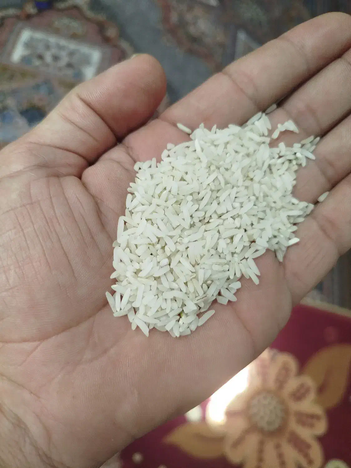 برنج هاشمی اصل درجه یک|خوردنی و آشامیدنی|میاندوآب, |دیوار