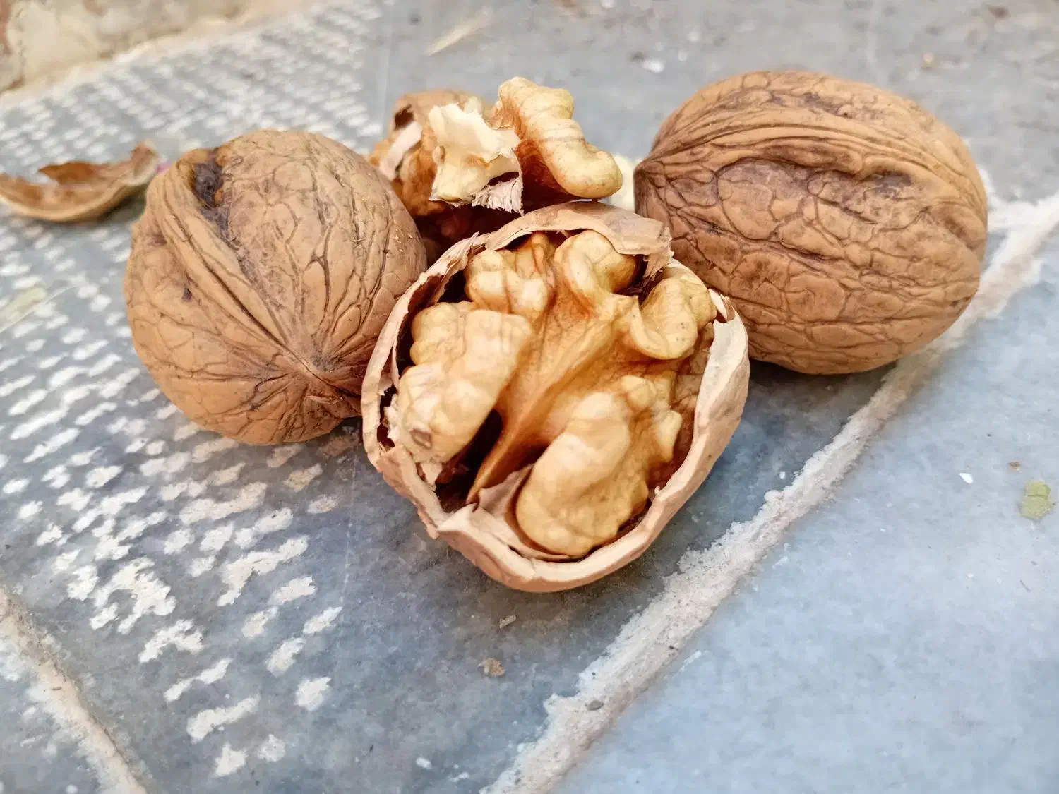 گردو چرب خوانسار|خوردنی و آشامیدنی|خوانسار, |دیوار