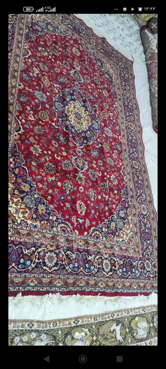 یک دانه فرش6متر|فرش|کرمانشاه, |دیوار