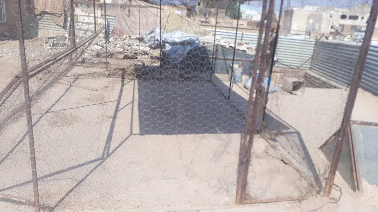 توردام|لوازم جانبی حیوانات|رفسنجان, |دیوار