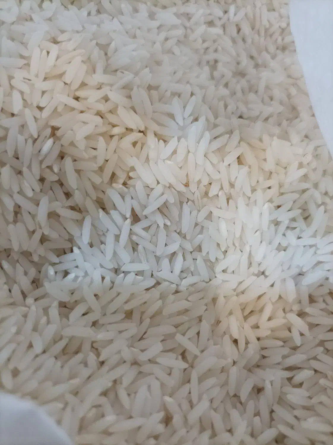 برنج هاشمی|خوردنی و آشامیدنی|رشت, فلسطین|دیوار