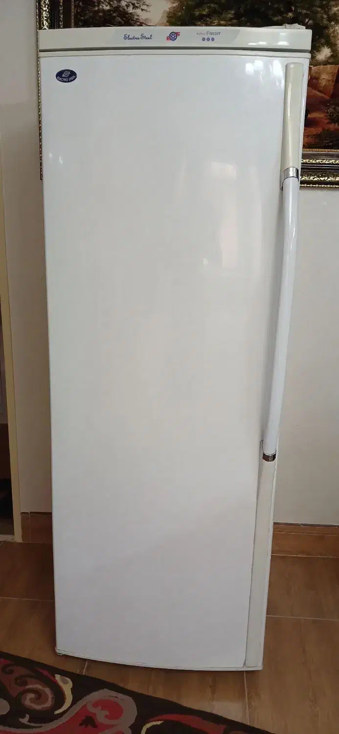 یخچال فریزر دو قلو الکترواستیل دست دوم|یخچال و فریزر|لنجان, |دیوار