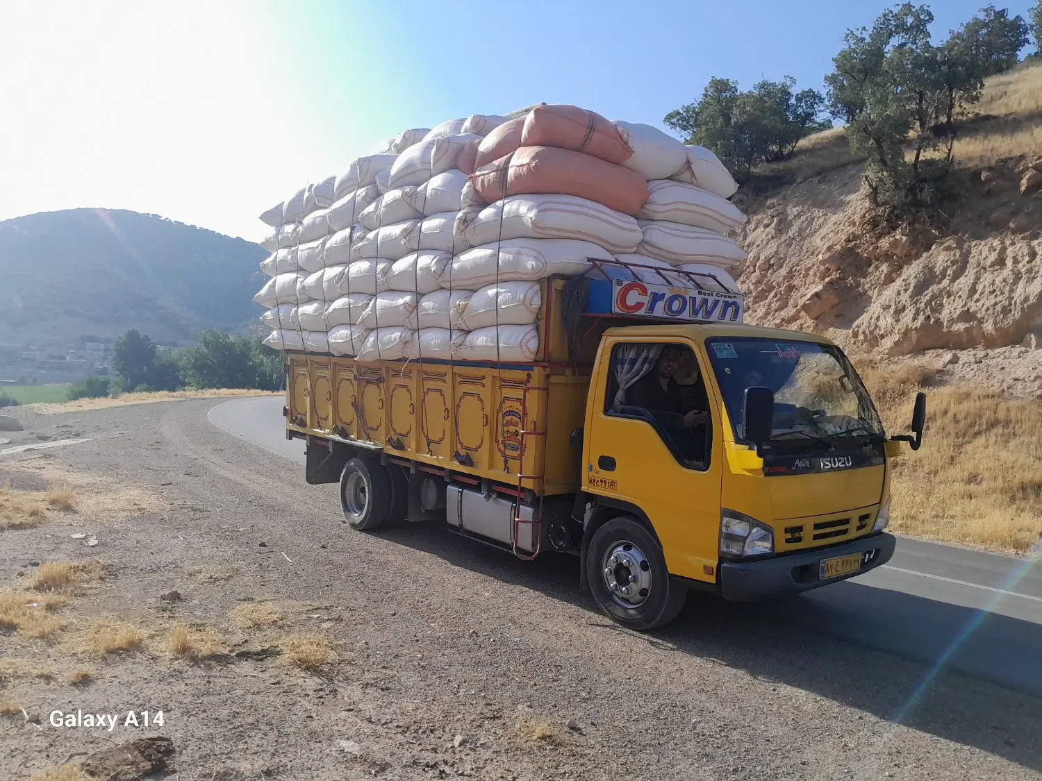 کاه|عمده‌فروشی|آران و بیدگل, |دیوار