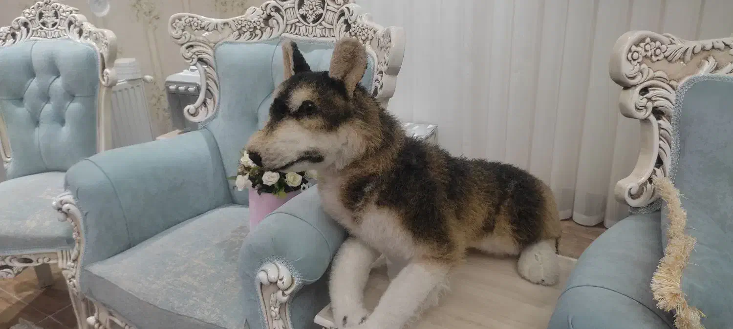 سگ دکوری|مجسمه، تندیس، ماکت|قیدار, |دیوار