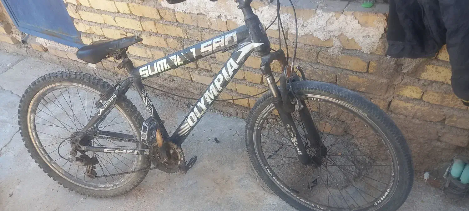 دوچرخه سالم|دوچرخه، اسکیت، اسکوتر|خفر, |دیوار