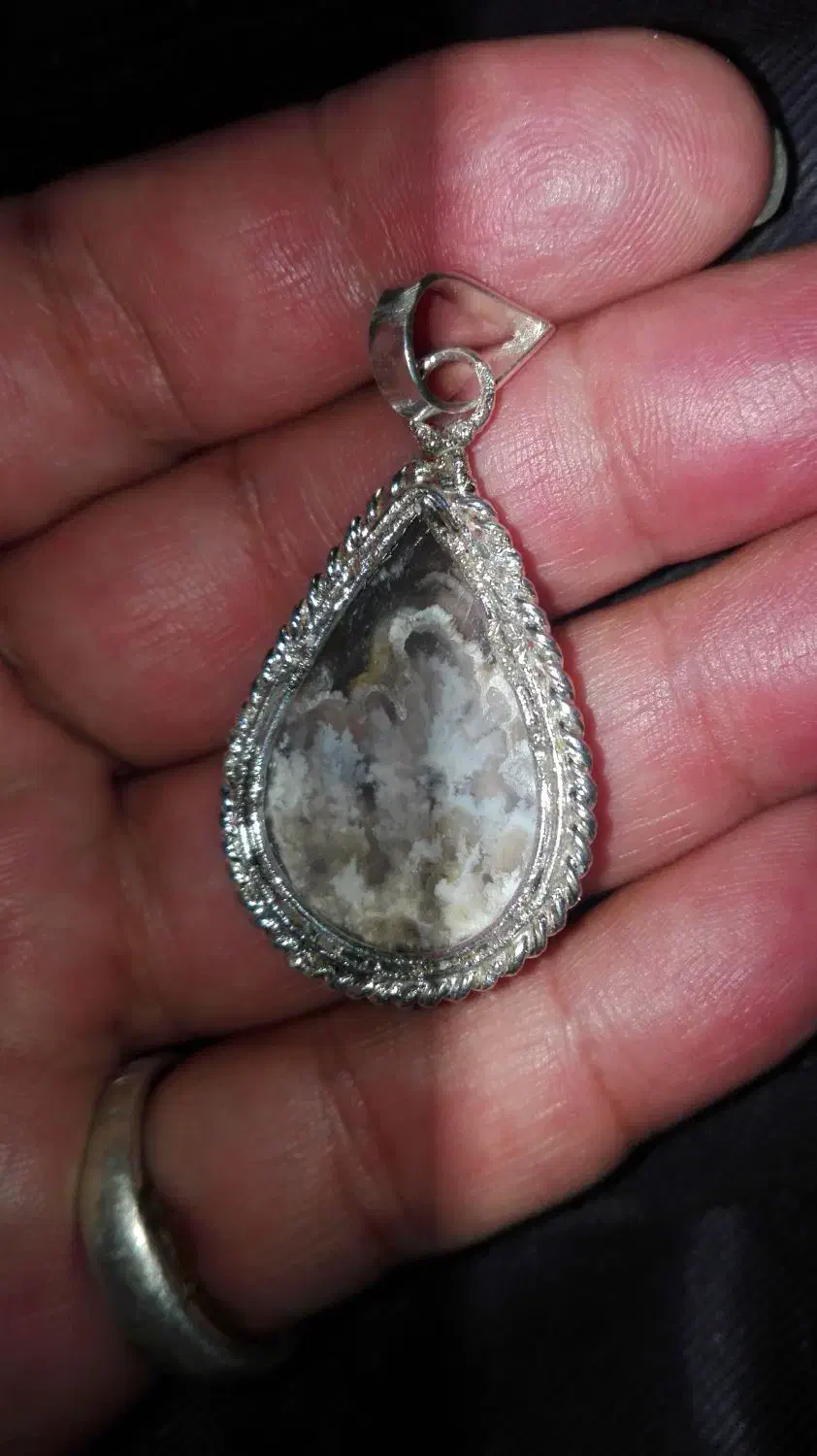 شجر گردنی شکوفه|بدلیجات|مهریز, |دیوار