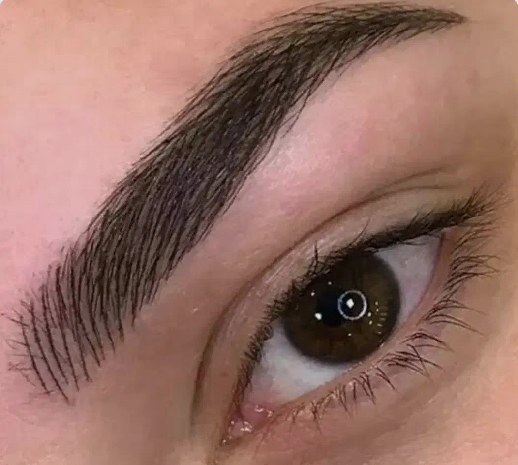 فیبروز ابرو تخفیف یلدایی  ب مدت ۵روز|خدمات آرایشگری و زیبایی|اردبیل, |دیوار