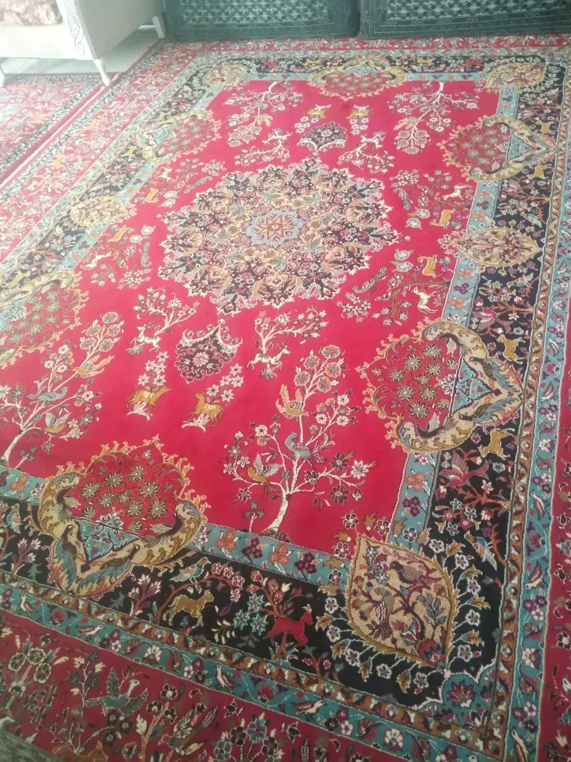 فرش گنجینه|فرش|محمدیه-قزوین, |دیوار