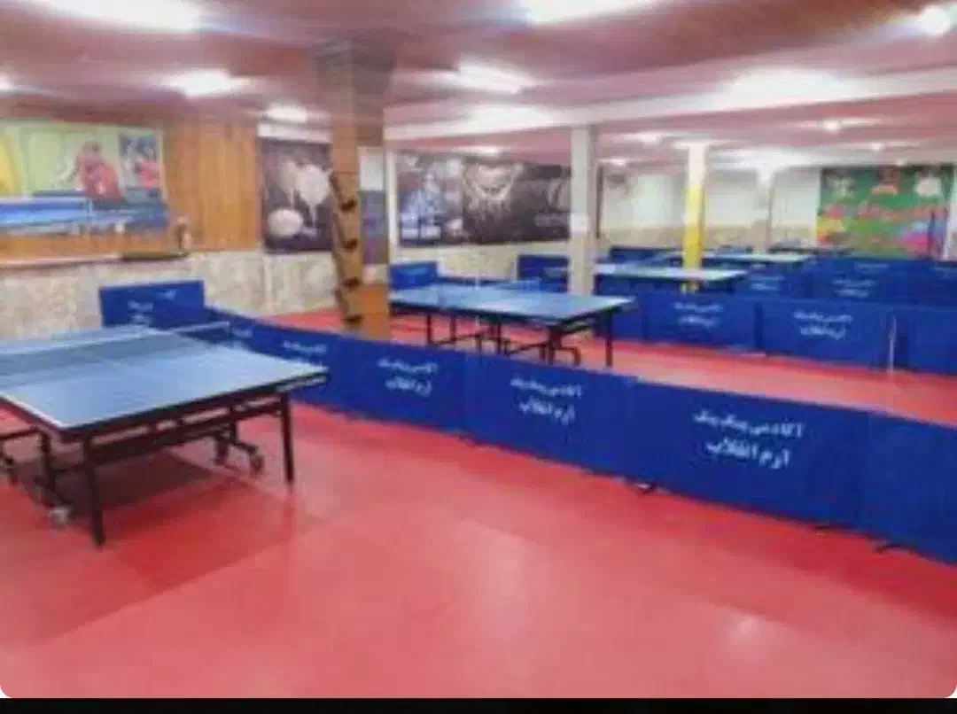 حریف پینگ پنگ|ورزش‌های توپی|نیشابور, شهرک فیروزه|دیوار