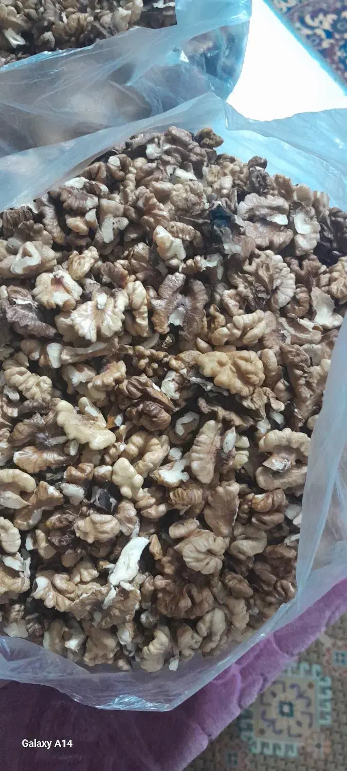 مغز گردو|حراج|یزد, |دیوار