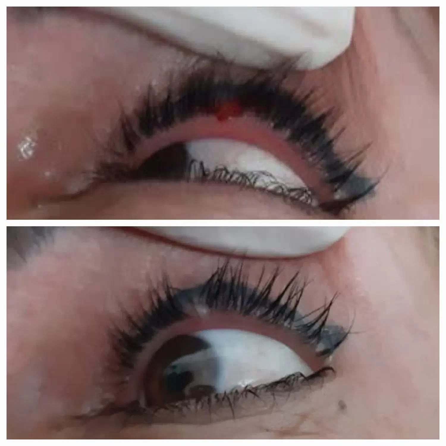 جشنواره یلدایی دکتر نفیسه پور محمدی|خدمات آرایشگری و زیبایی|قم, نیروگاه|دیوار