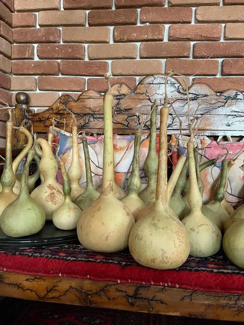 کدو تزئینی|صنایع دستی و سایر لوازم تزئینی|تهران, افسریه شمالی|دیوار