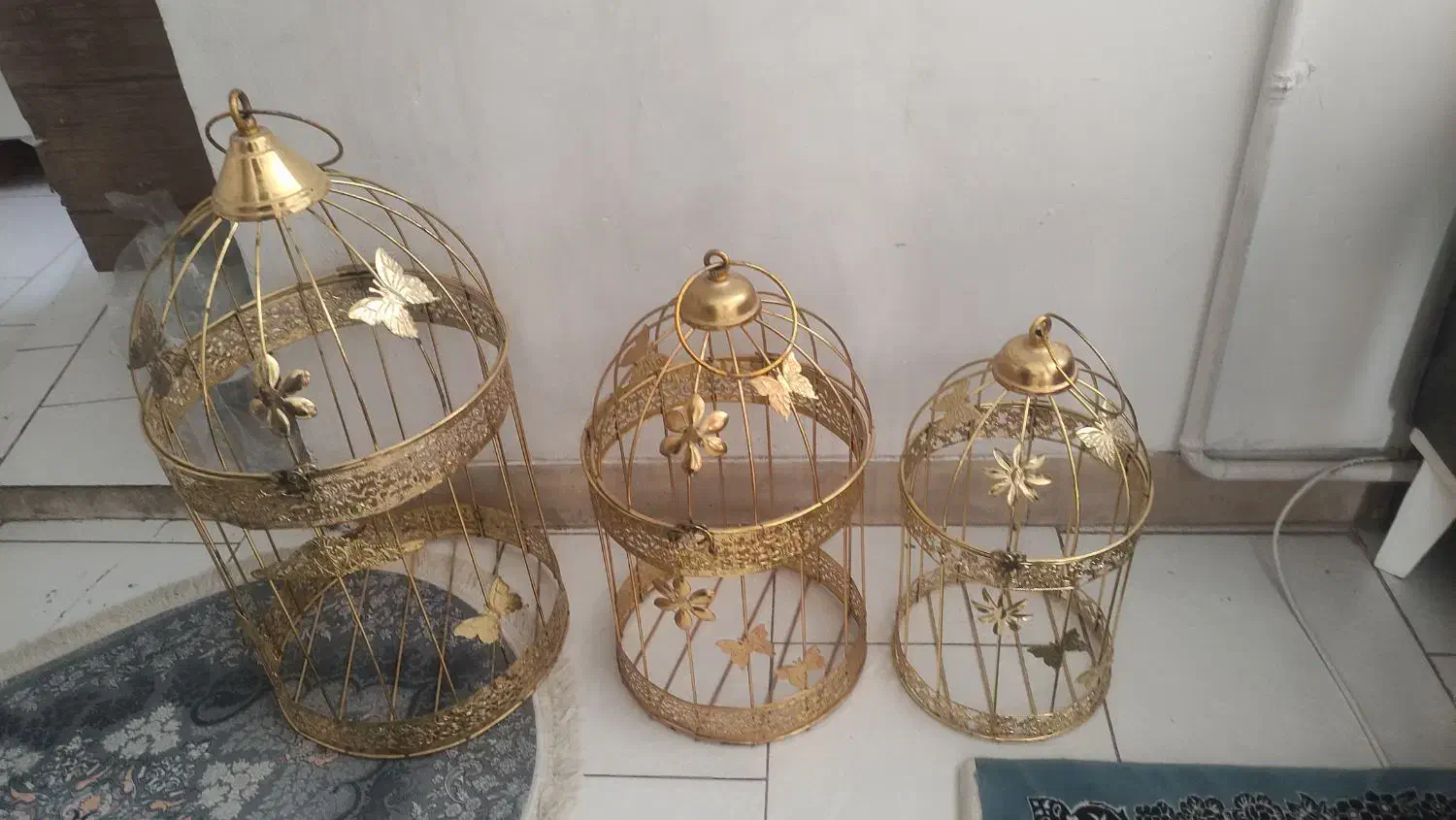 قفس بله برون سالم|صنایع دستی و سایر لوازم تزئینی|تهران, شهرک رضویه|دیوار