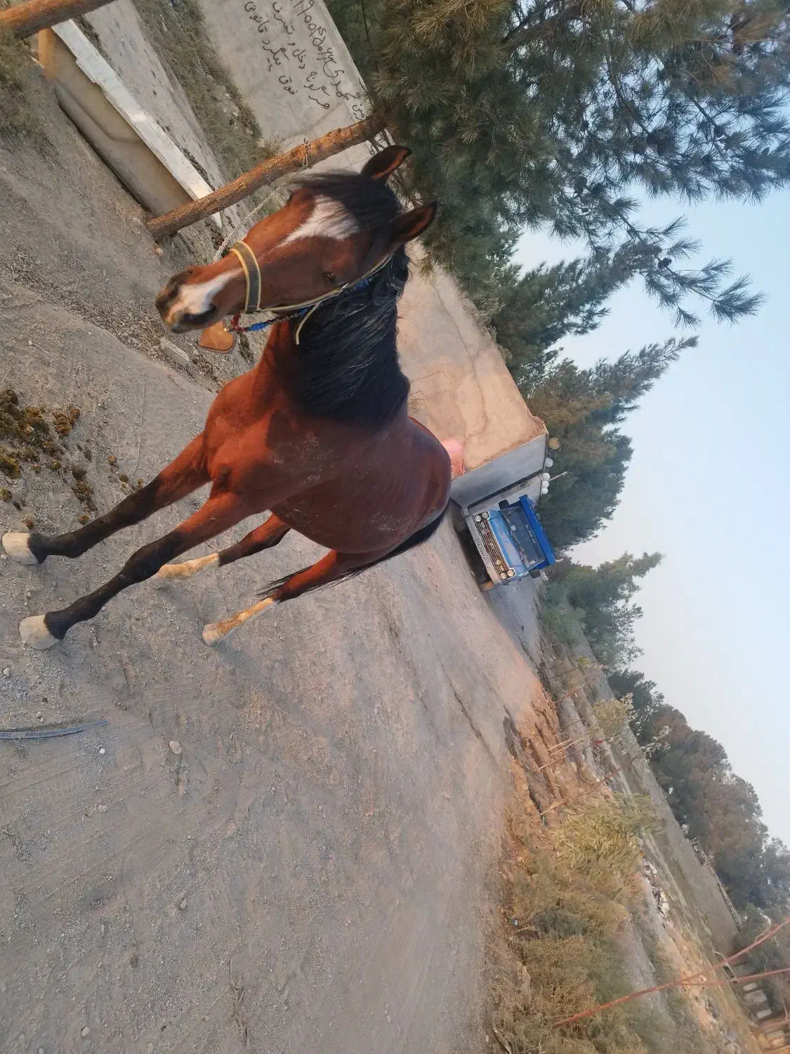 باغچه 500 متری چهار دیواری زیر قیمت|فروش زمین و ملک کلنگی|کهریزک, |دیوار