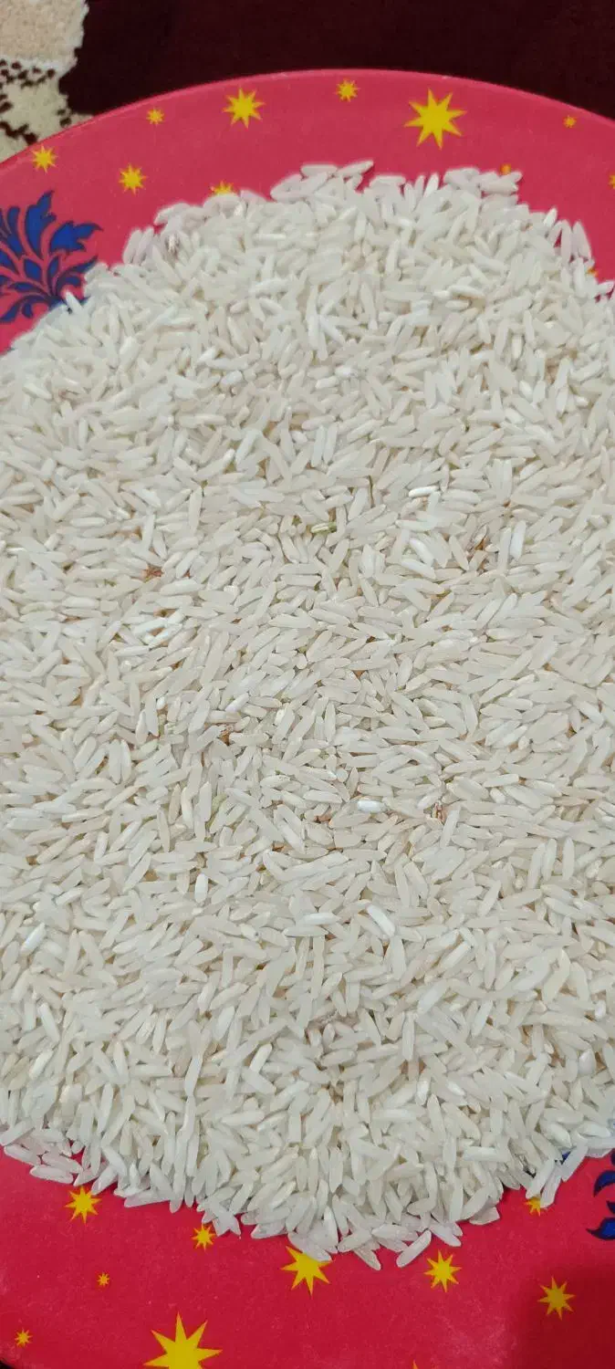 برنج|خوردنی و آشامیدنی|ایلام, |دیوار