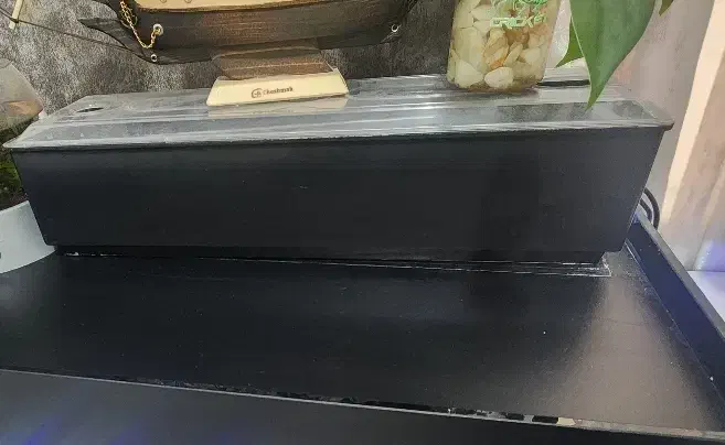 تاپ فیلتر|ماهی|ری, دیلمان|دیوار