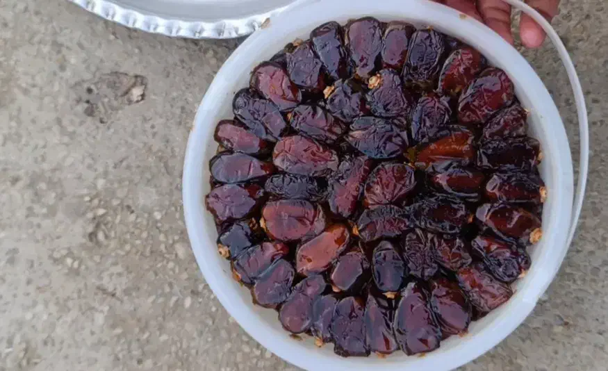 خرما خاصی|خوردنی و آشامیدنی|اهواز, آریاشهر|دیوار