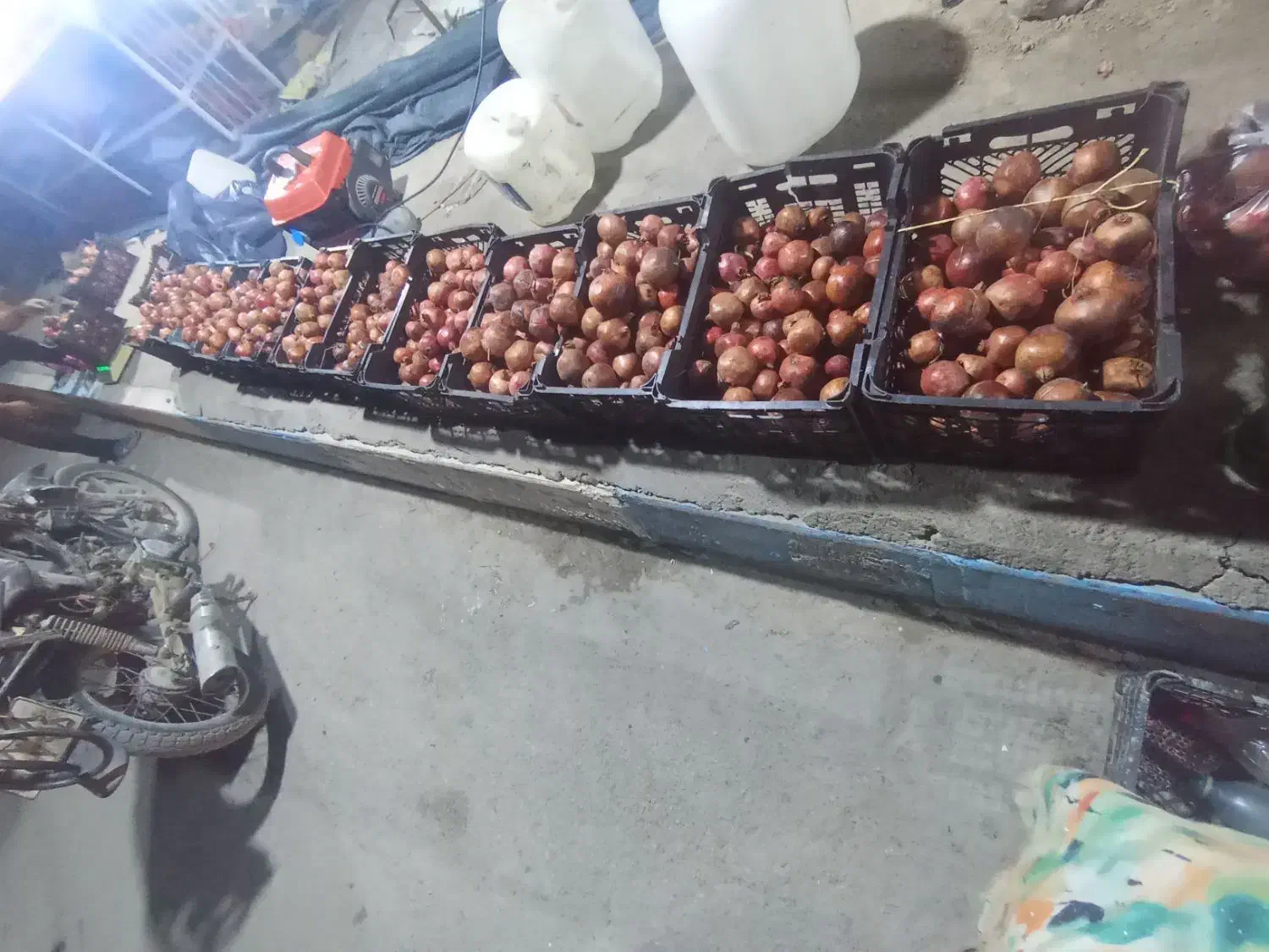 انار مخصوص پلویی|خوردنی و آشامیدنی|بندرعباس, |دیوار