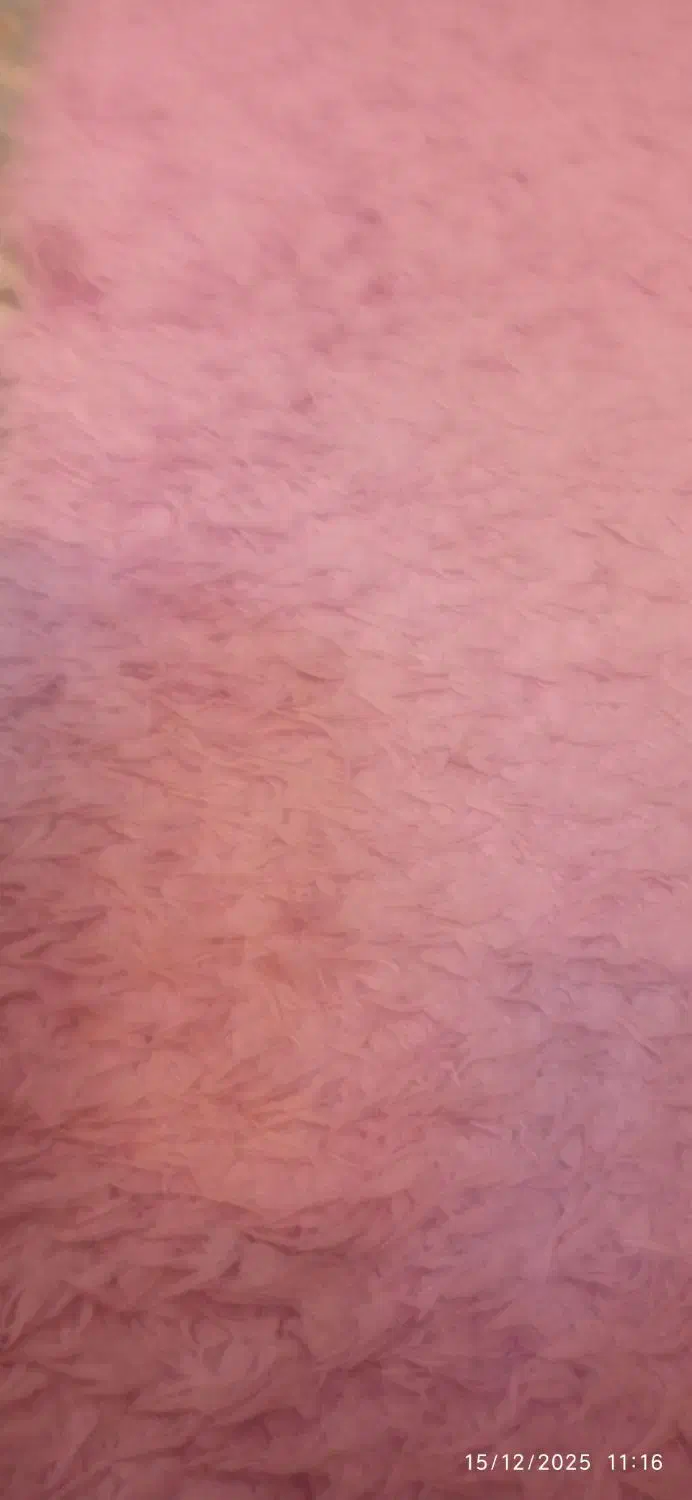 فرش فانتزی موهر دار رنگ بنفش یاسی|فرش|تهران, خلیج فارس|دیوار