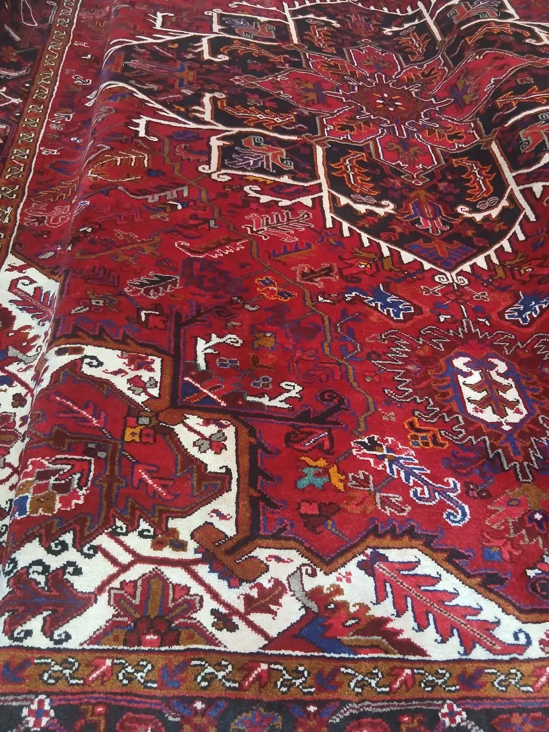 ۱۲ متری|فرش|میانه, |دیوار