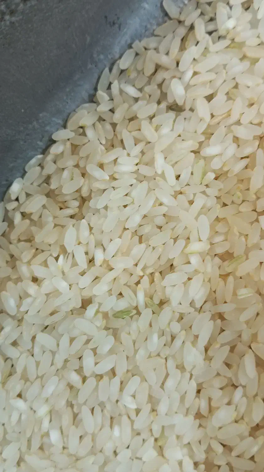 برنج کامفیروزی اصل|خوردنی و آشامیدنی|مرودشت, فرهنگ|دیوار