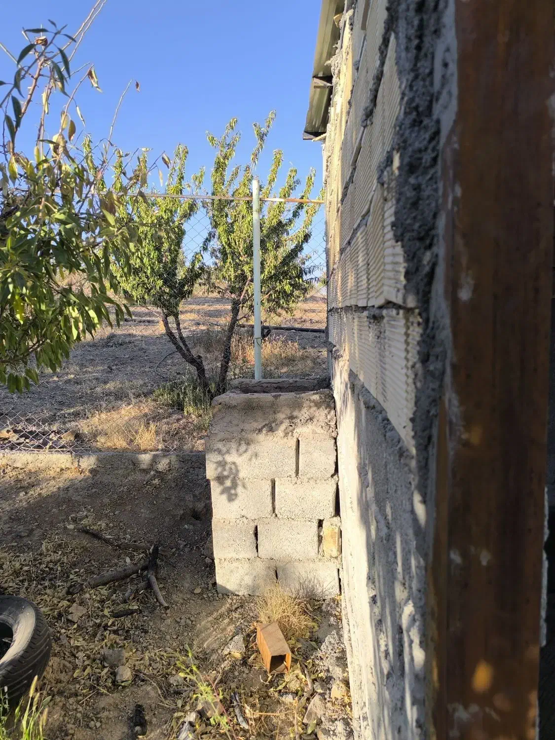 باغ دارای اتاق|فروش زمین و ملک کلنگی|تیران, |دیوار