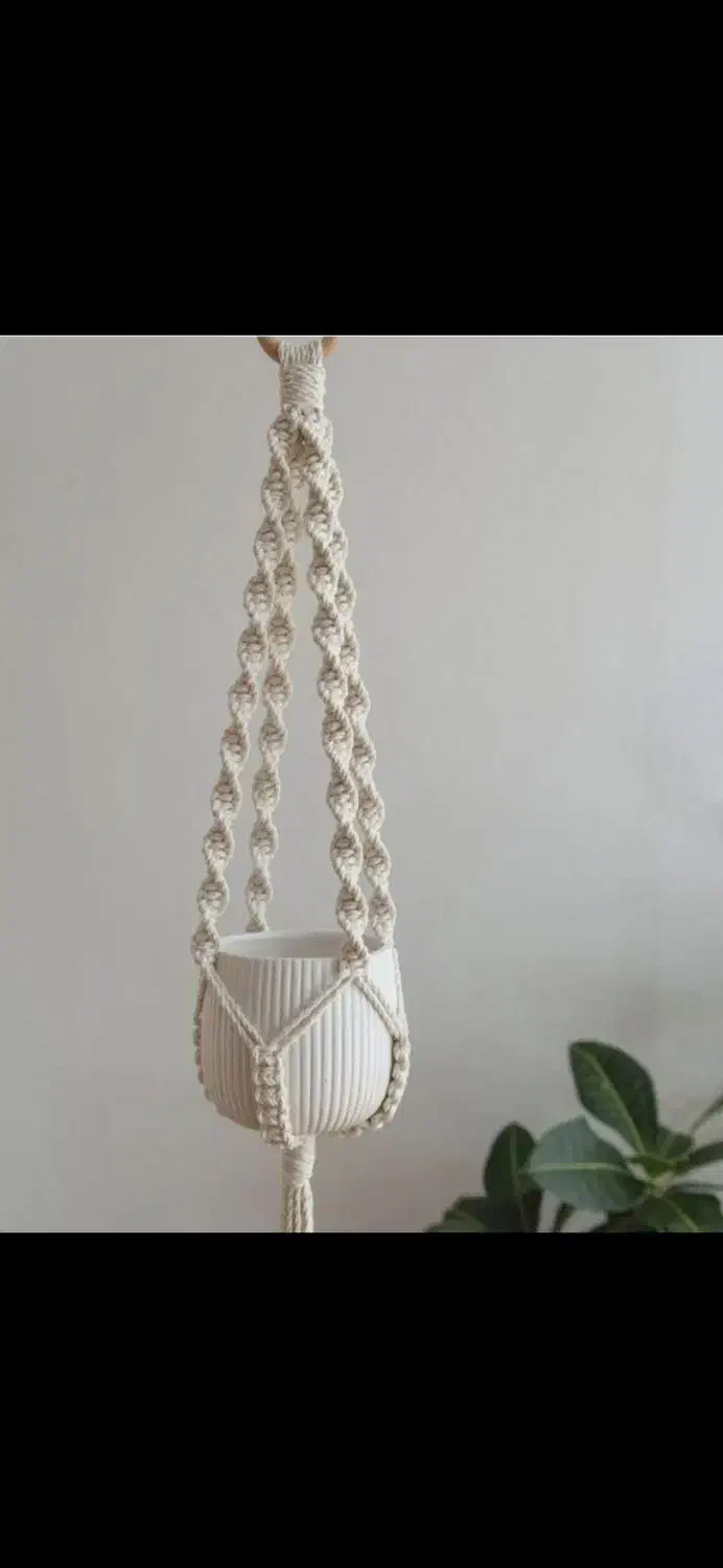 آویز گل|گل و گیاه طبیعی|مشهد, شفا|دیوار