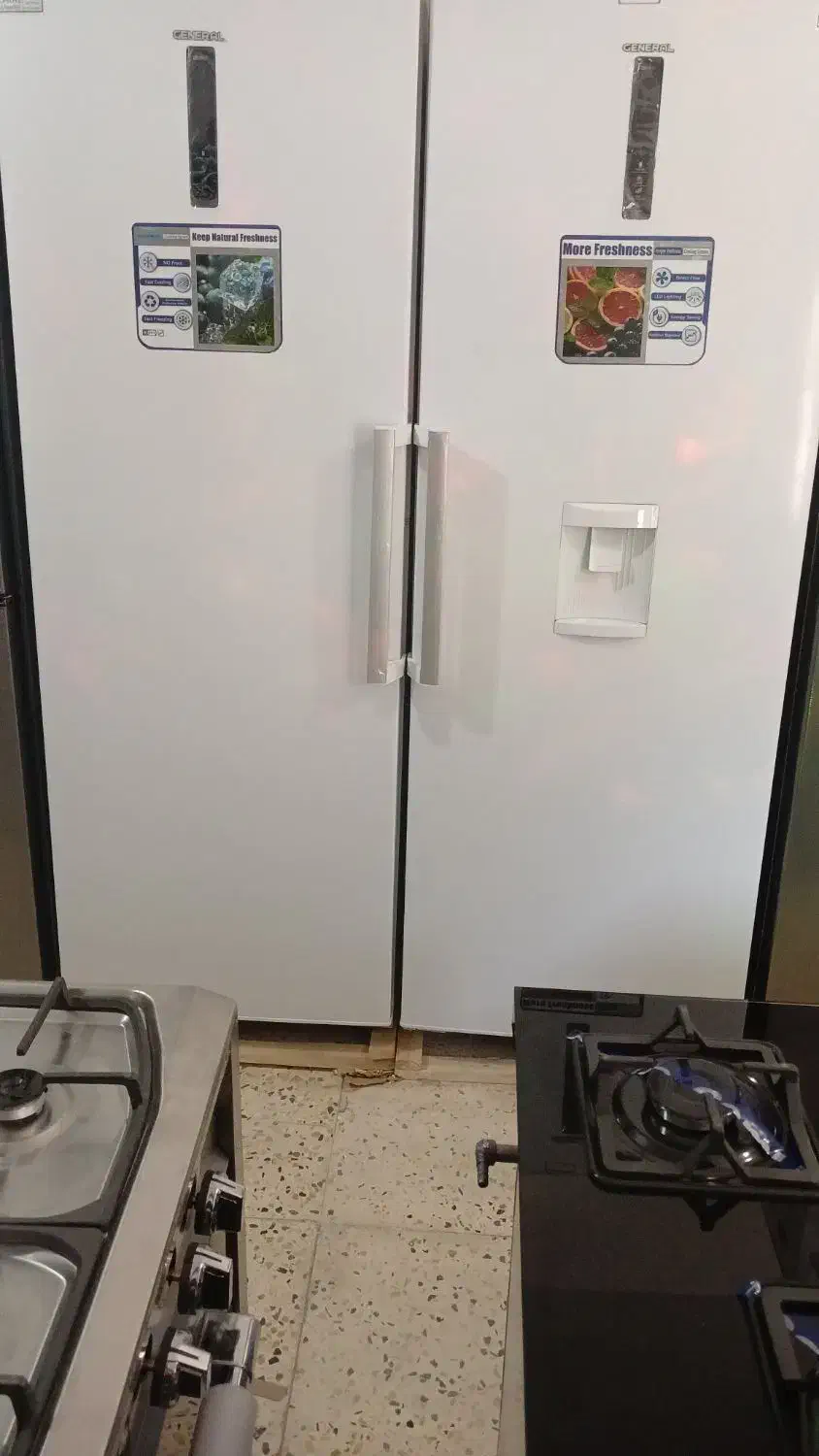 مرکز فروش یخچال فریزر تک دوقلو دوریندور سفید سیلور|یخچال و فریزر|شیراز, نصرآباد|دیوار