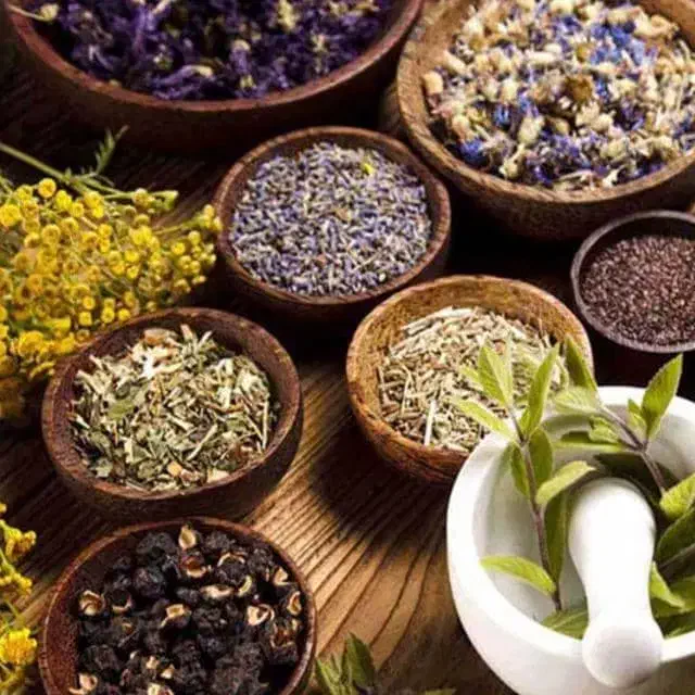 راهنمایی|فعالیت داوطلبانه تحقیقاتی|یزد, |دیوار