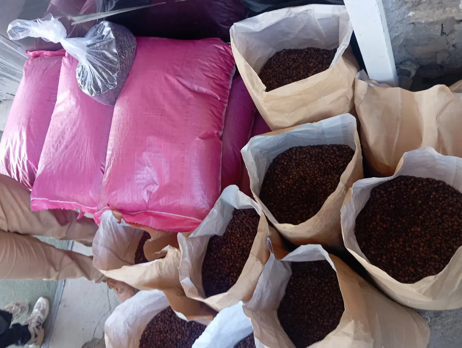 پخش قهوه|خوردنی و آشامیدنی|نیشابور, هفده شهریور|دیوار