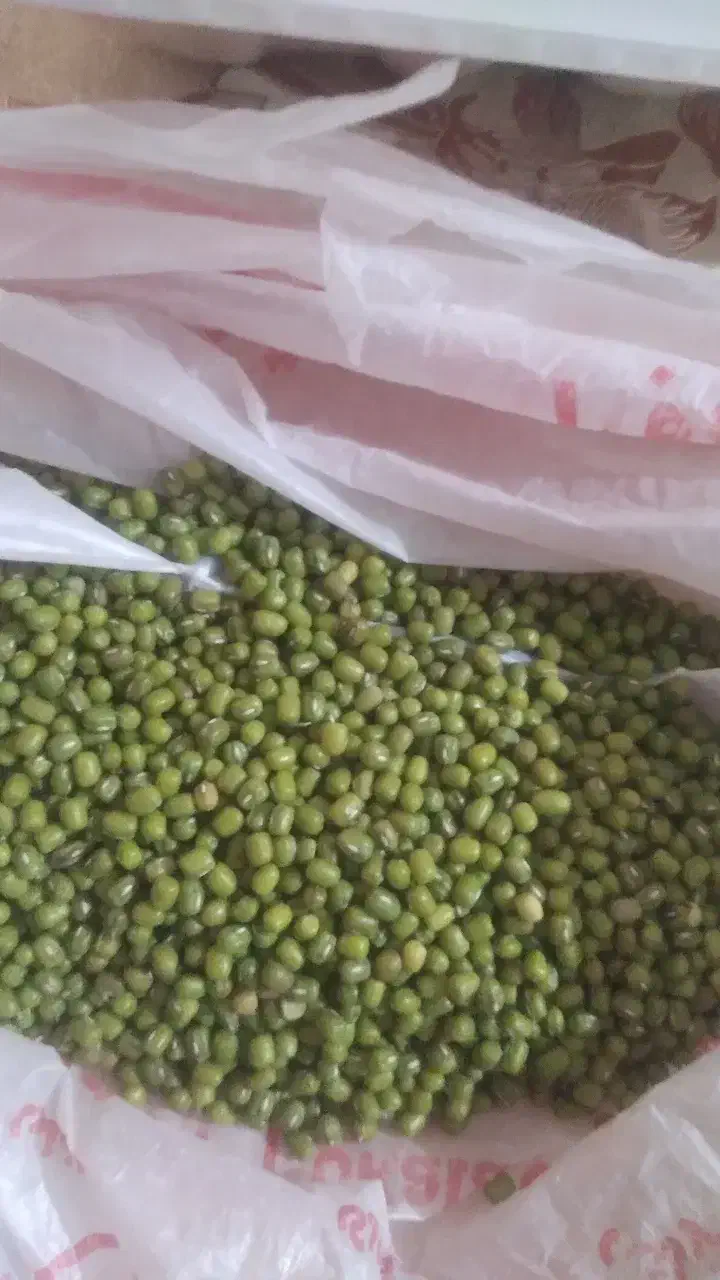 فروش ۲۰۰کیلو ماشک تمیز|عمده‌فروشی|سوق, |دیوار