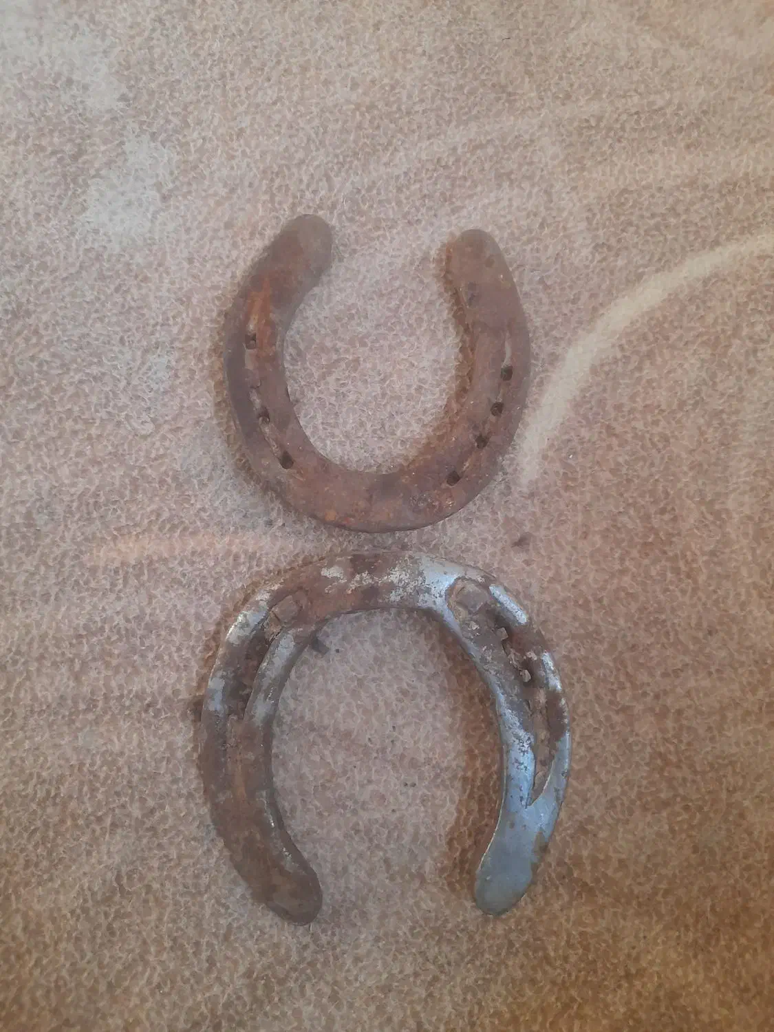 نعلاسب|اسب و تجهیزات اسبسواری|مشهد, دوست آباد|دیوار